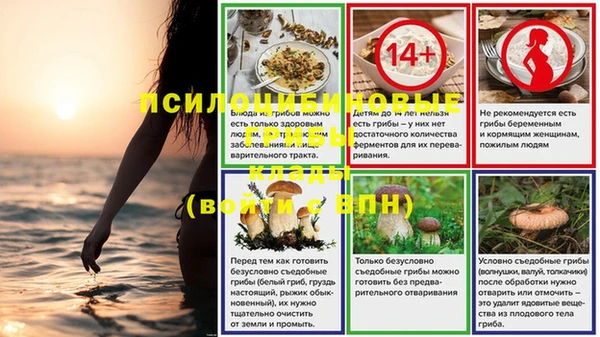 spice Волоколамск