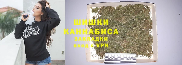 сатива Волосово