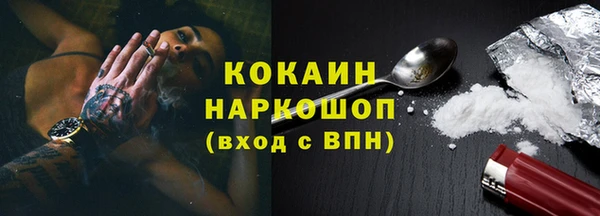 шишки Володарск