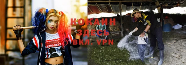 трава Вяземский