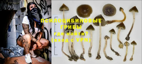 трава Вяземский