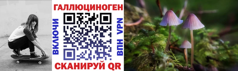 Псилоцибиновые грибы Psilocybine cubensis  Ивантеевка 